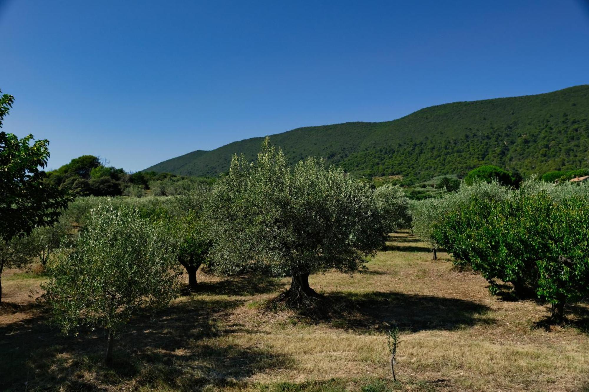 Villa Terre de Lumière Nyons Esterno foto