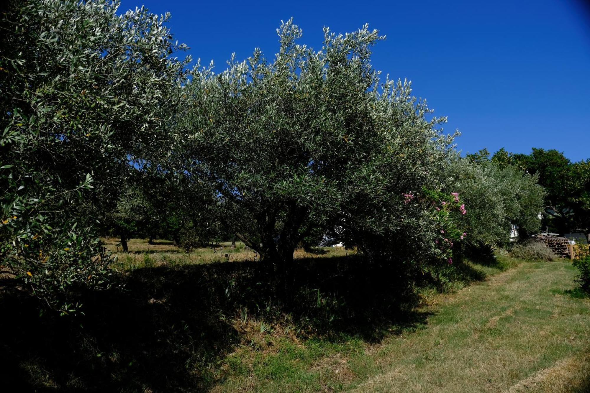 Villa Terre de Lumière Nyons Esterno foto